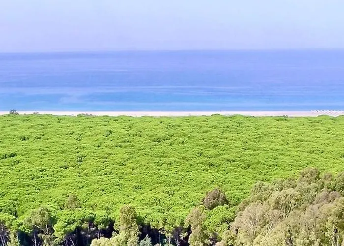 Club One Bed 75g דירה פיצו